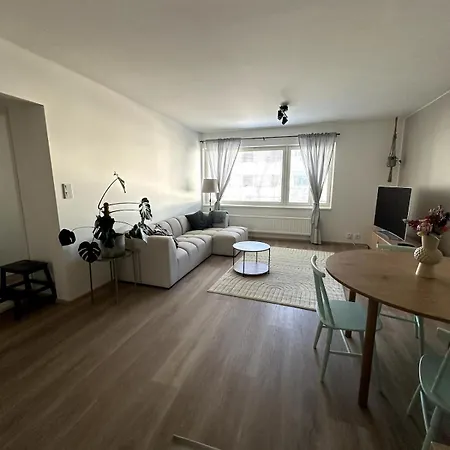 Y - New And Gorgeous Two-room לאפינרנטה